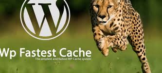 Wordpress fastest cache